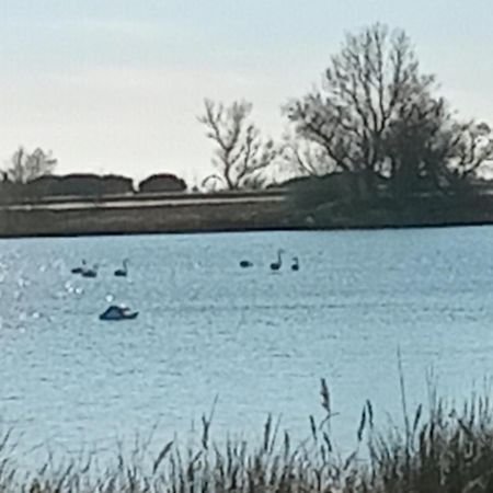 Aigues Mortes Studio De Vacances En Camargue Eksteriør bilde